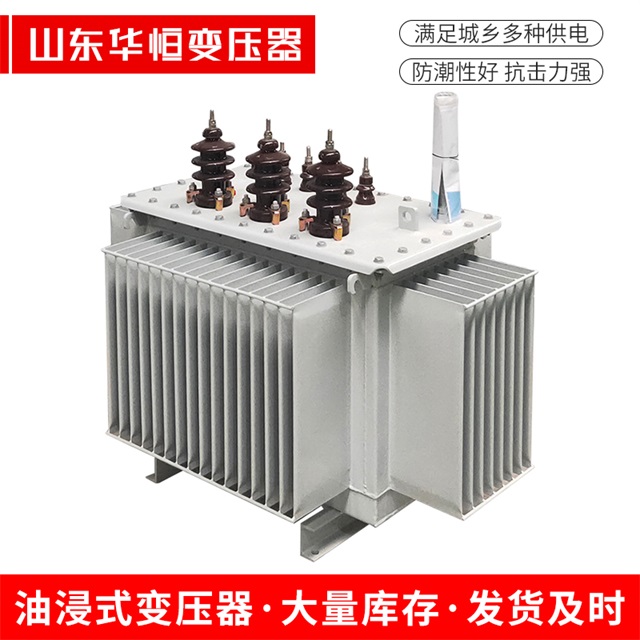 S13-10000/35三穗三穗三穗油浸式变压器厂家